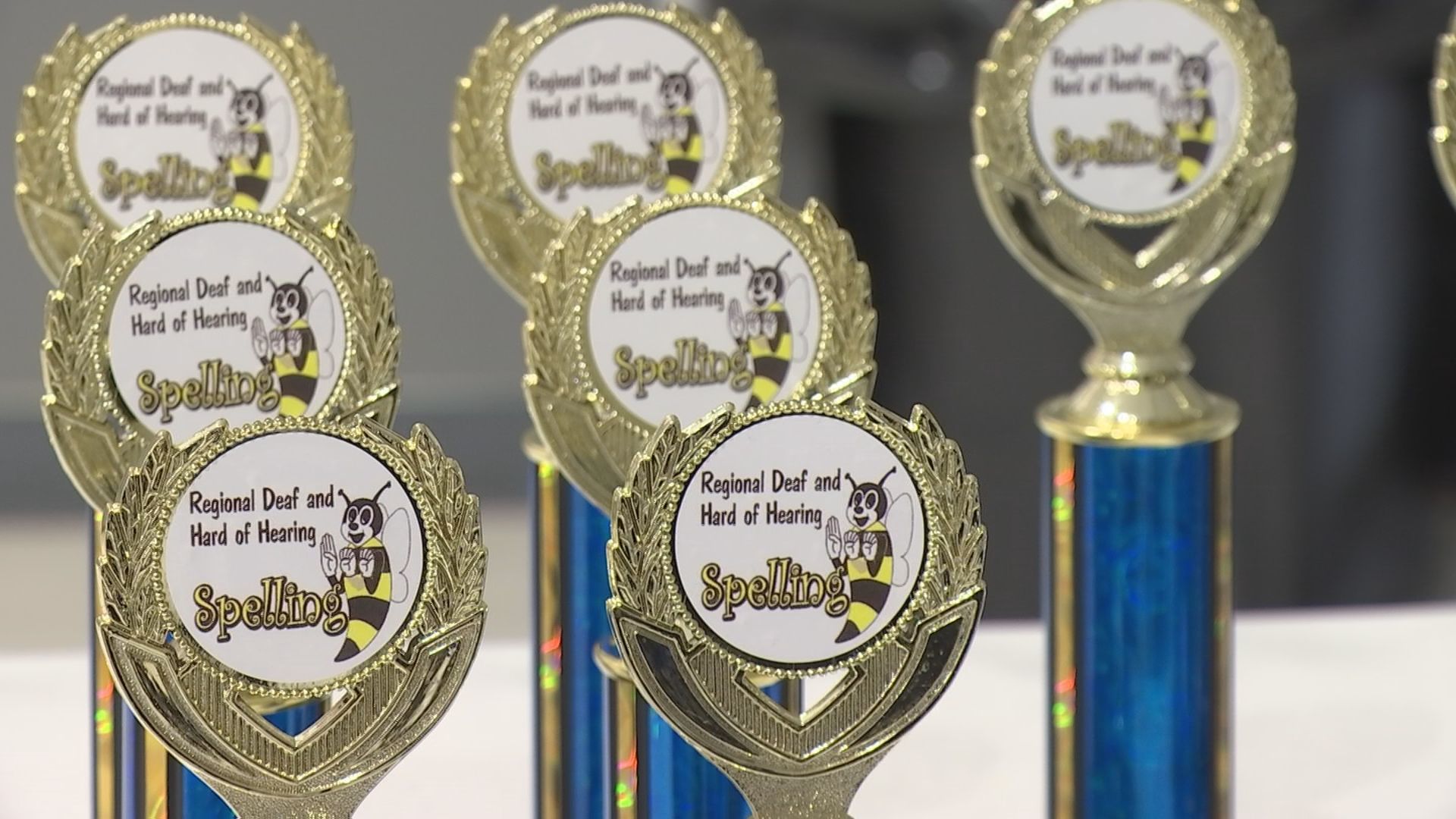 spelling bee trophies
